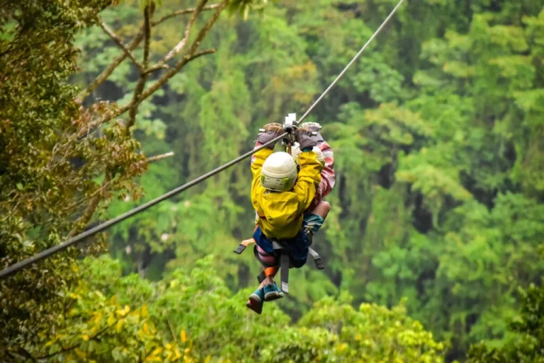 Family Adventures in Costa Rica: Ziplining, Wildlife, and More