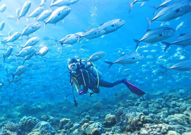 Scuba Diving in the Maldives: A Beginner’s Perspective